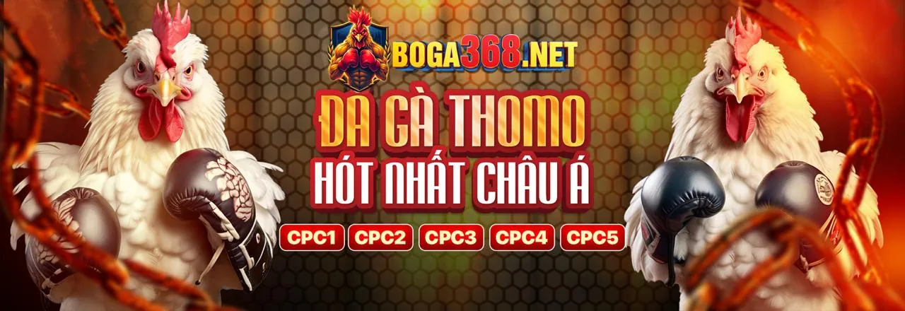 Giao diện ứng dụng 66CLUP Casino trên điện thoại di động